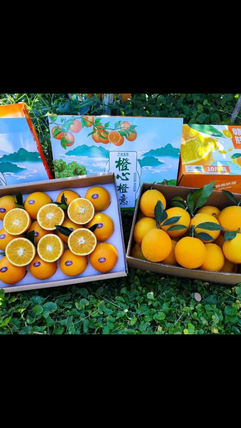 果园直供